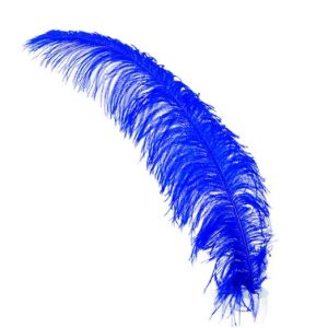 pluma-de-avestruz-spad-azul