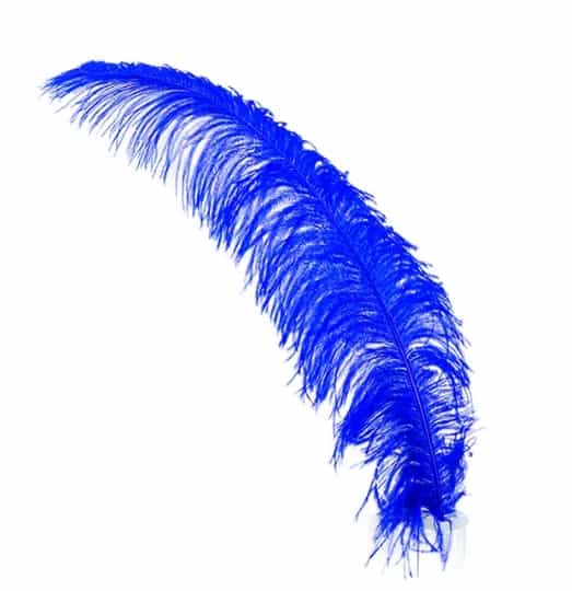 pluma-de-avestruz-spad-azul