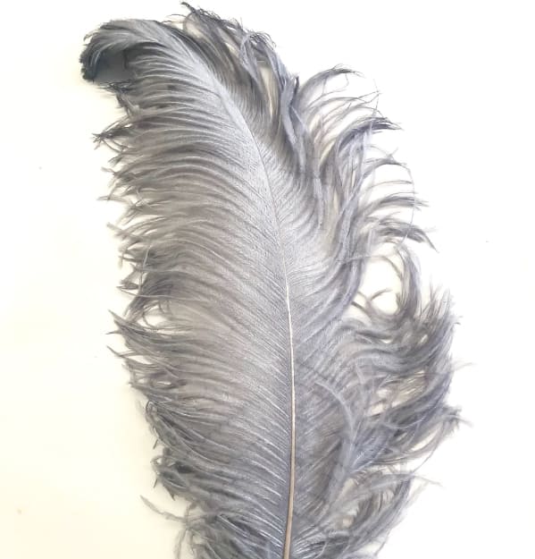 pluma-de-primera-calidad-de-avestruz-gris
