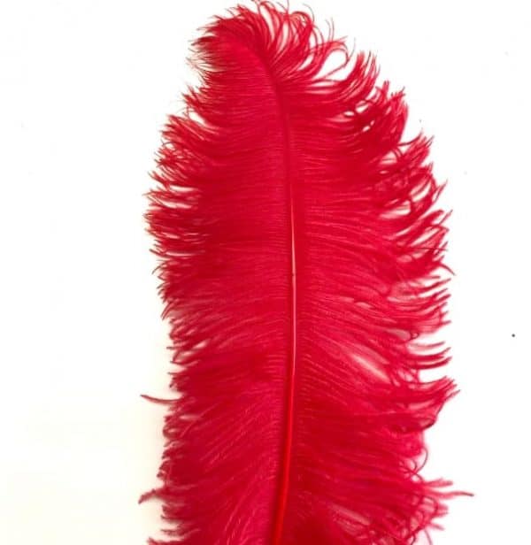 pluma-de-primera-avestruz-roja
