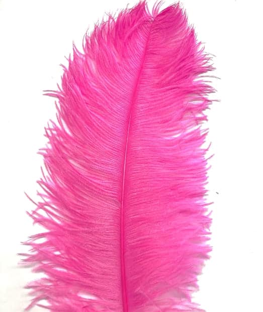 pluma-de-primera-calidad-avestruz-rosa-